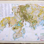 IMG_4985